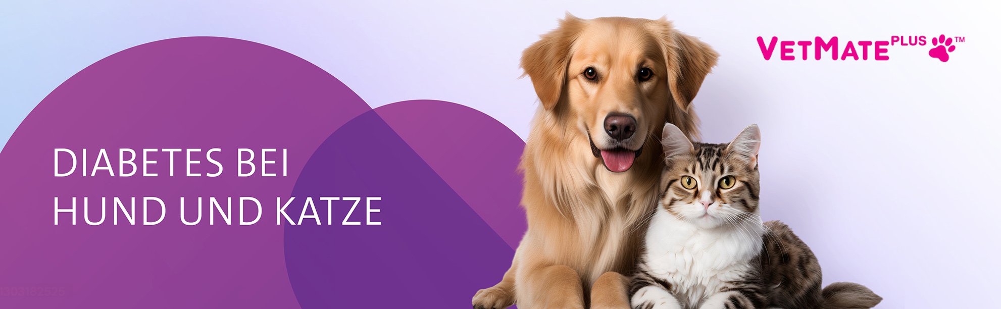 Diabetes bei Hund und Katze Diabetes bei Hund und Katze